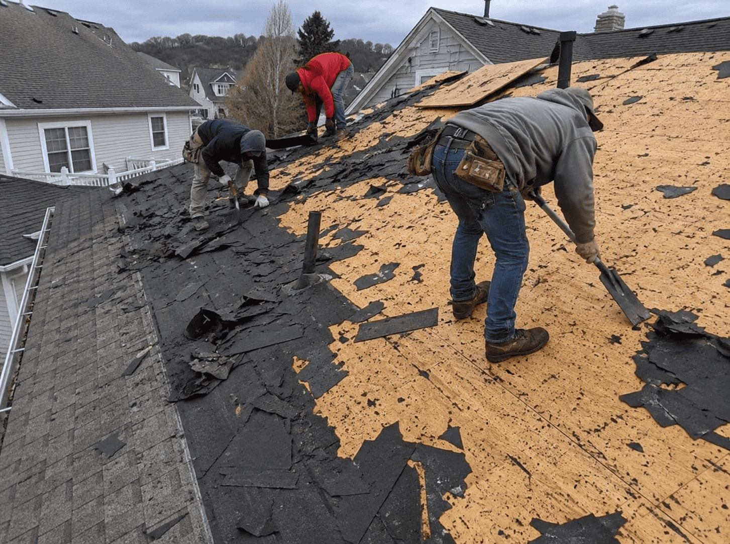 Three contractors removing old shingles during a residential roof replacement, exposing the plywood decking below.